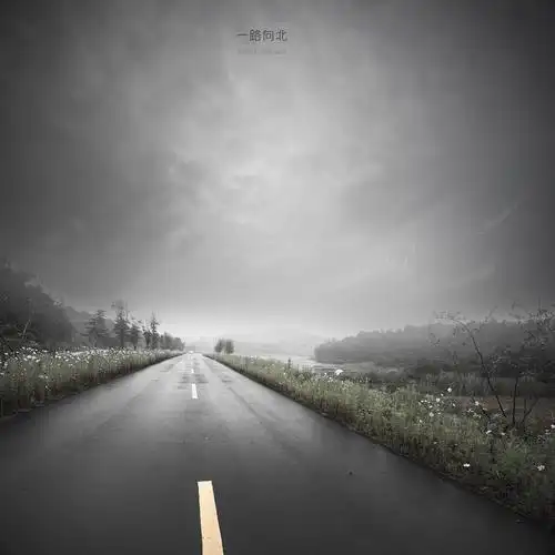 风光:一路向北