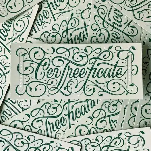 设计师 mark caneso 的英文字体设计欣赏!