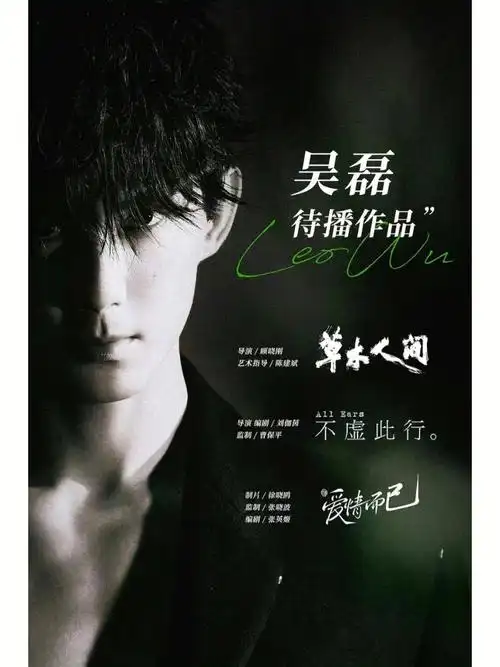 演员吴磊未来可期