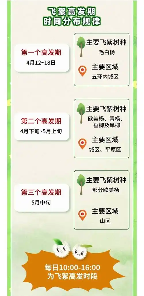 杨絮柳絮傻傻分不清,如何防护看这里