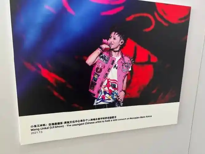 小鬼王琳凯在梅奔主办演唱会是2021