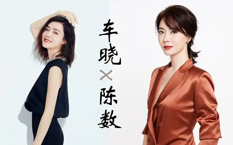 甜向姬圈扛把子车晓x陈数完美关系