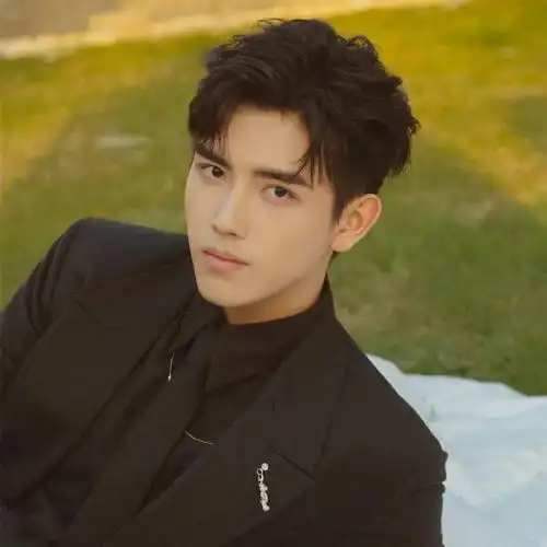 微信头像陈飞宇