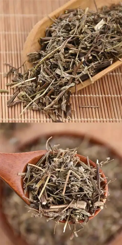 香薷材店铺包邮新鲜干货香薷茶 香薷草 香茹中草