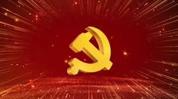 党徽党政背景循环