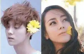 迪丽热巴捆绑鹿晗热巴用四字回应打脸跑男