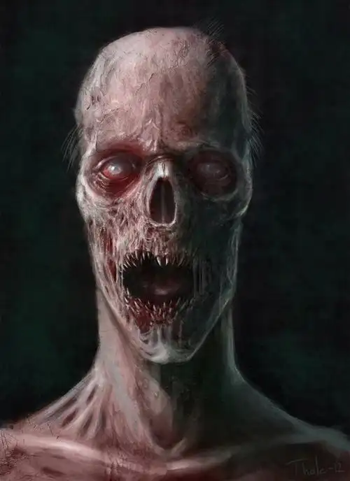 湘南恐怖僵尸村 全村人是僵尸