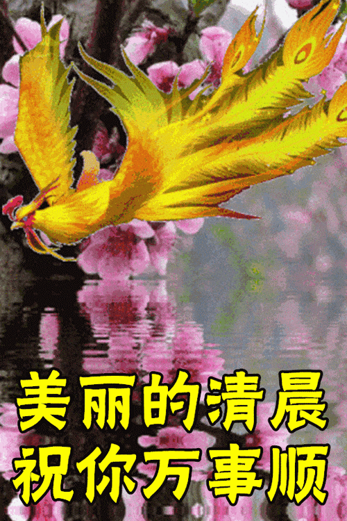 1月13日最漂亮早上好动态表情图片大全早晨好动图美图大全