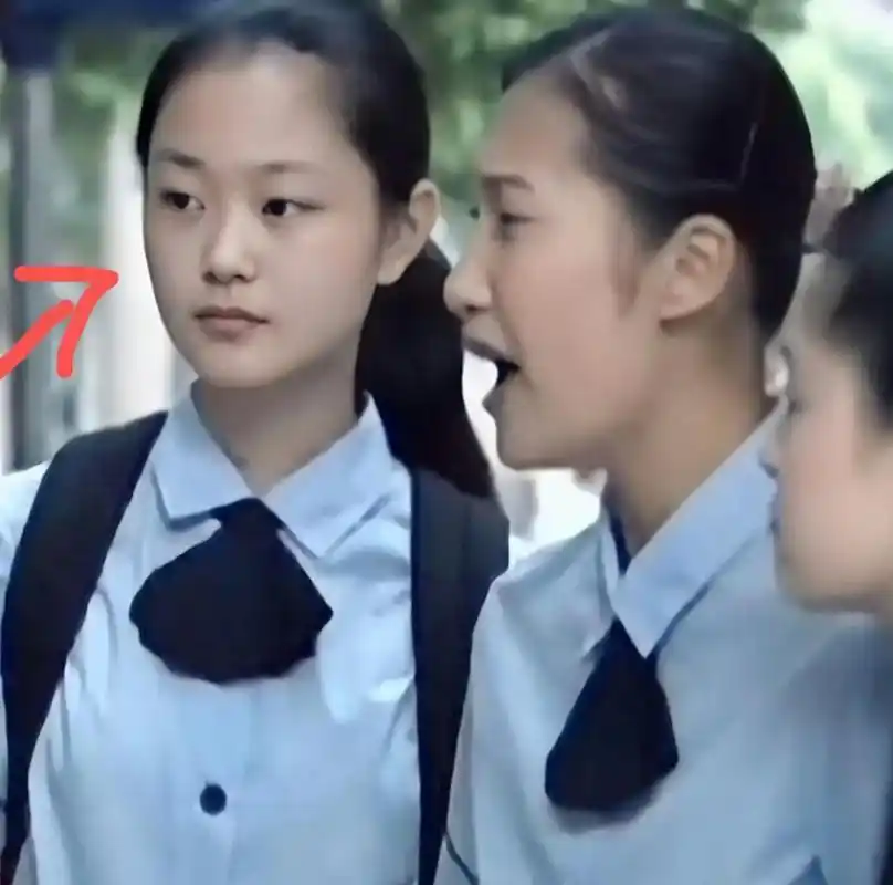 宋轶高中时期的照片看起来好青涩