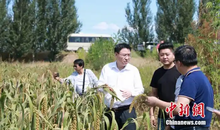 中国铁建地产定点扶贫村三里庄村第一书记李华一介绍农作物种植园情况