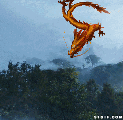 400_390gif 动态图 动图