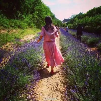 长裙绣花鞋薰衣草背影