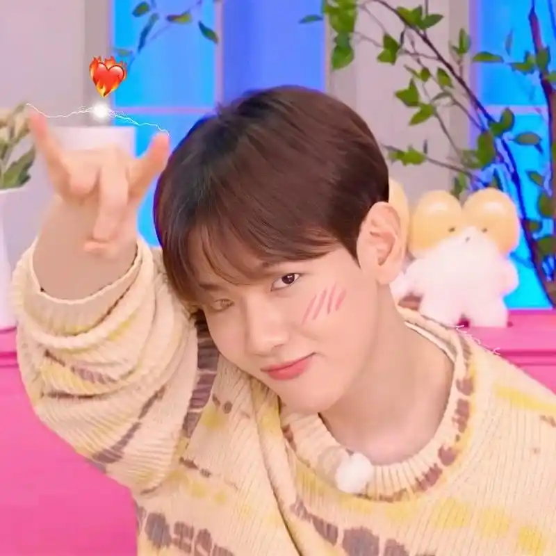 新鲜出炉伯贤nim头像 #baekhyun #边伯贤 #边伯 - 抖音