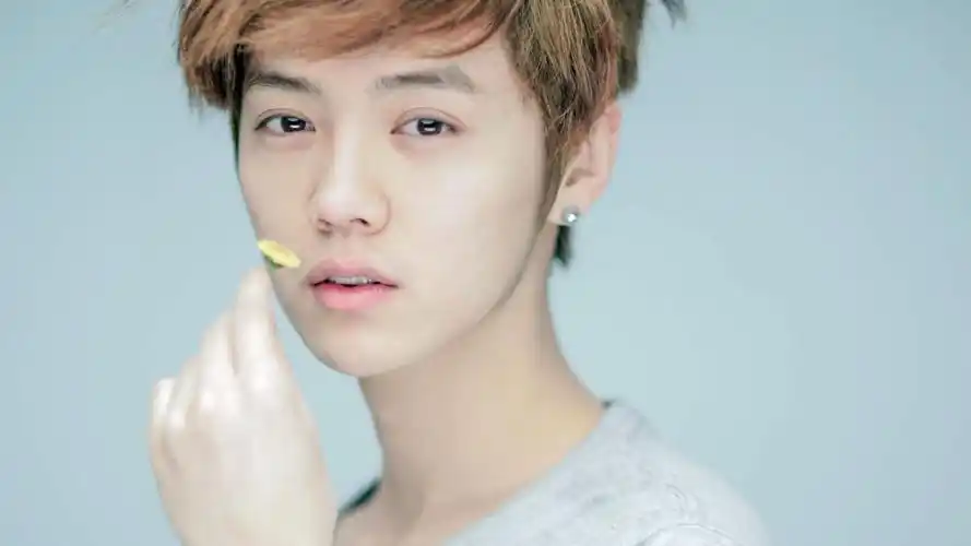 鹿晗小鲜肉明星风尚壁纸封面图鹿晗 小鲜肉 明星风尚壁纸壁纸于2020