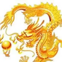 属大龙财运好运微信头像【点击鼠标右键下载】