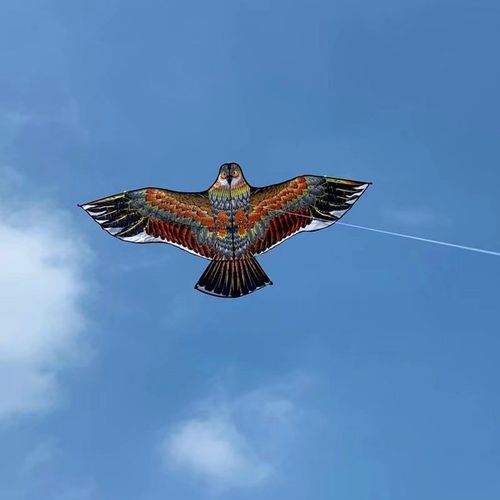 新款老鹰风筝吓鸟微风易飞16米儿童线轮地摊初学者厂家满额包邮