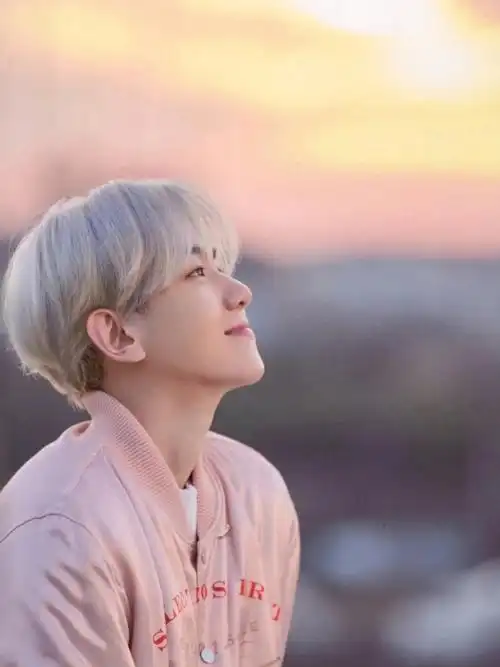 边伯贤绝绝子的图片