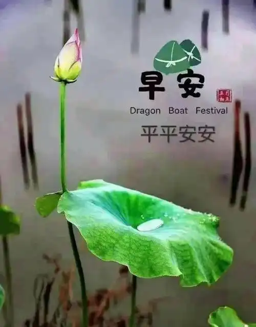 朋友圈最新版早安问候语早上好美图,清新漂亮的问候图片送给大家