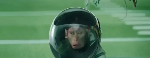 幕后|《疯狂的外星人》里的猴子可没那么简单!