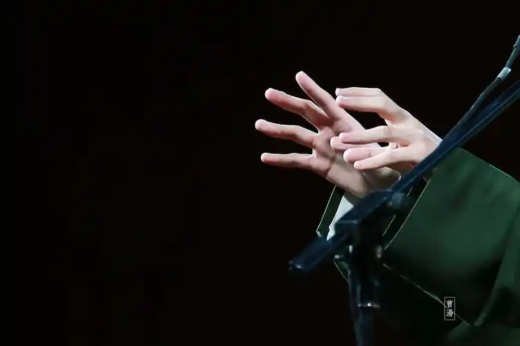 来欣赏郭麒麟的手