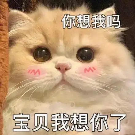 小宝贝在吗表情包 - 小宝贝在吗微信表情包 - 小宝贝在吗qq表情包