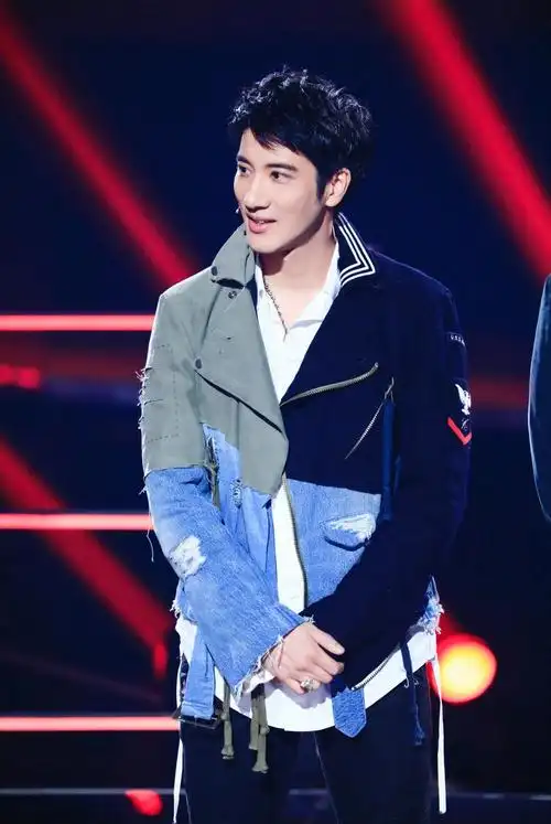 王力宏中国好声音剧照图片