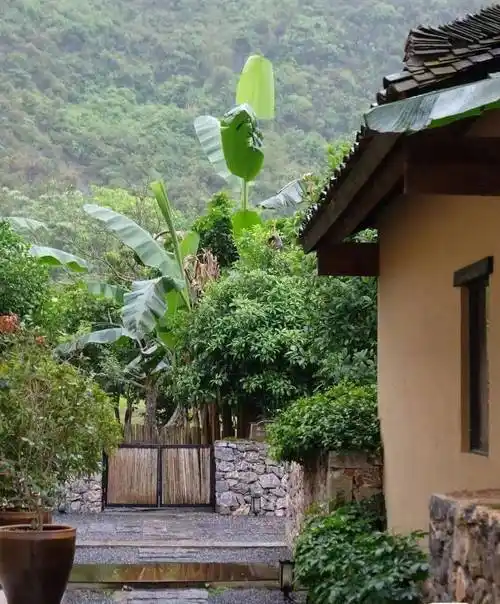 公区超大茶室是出片好地点,琴棋书画样样齐全,是古风迷的打卡圣地.