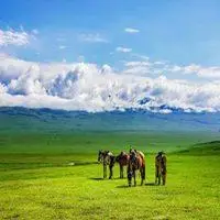 草原头像大全图片大全_一望无际绿色大草原头像图片_微信头像图片大全