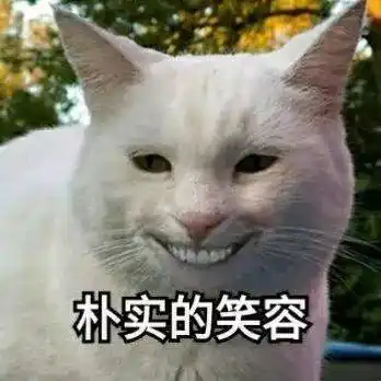朴实的笑容(猫咪露齿)_猫咪_露齿_朴实_笑容表情