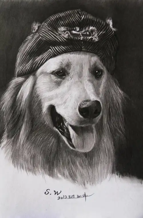 小狗-素描图集图片_儿童素描_少儿图库_中国儿童