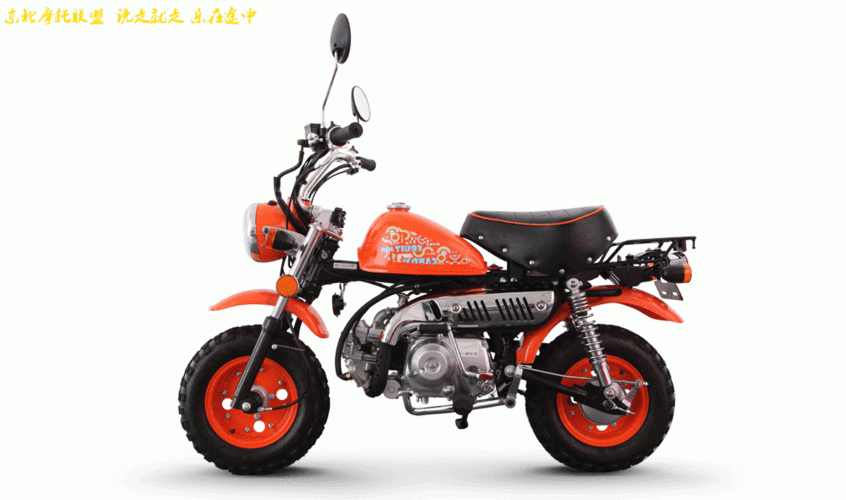 金城金童jc707情人节和糖果版小猴子上市