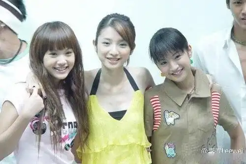 许玮伦与杨丞琳,林依晨