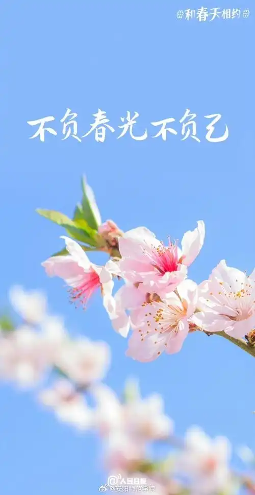 壁纸 花 桌面 690_1337 竖版 竖屏 手机