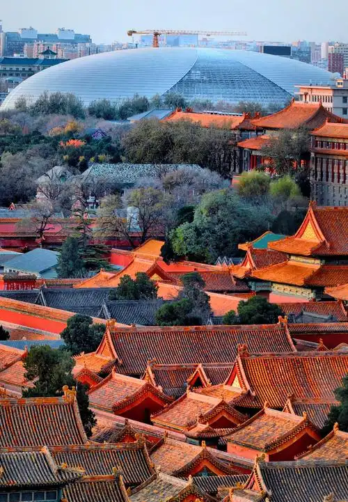 拉近了看故宫里有树故宫里的房子有琉璃黄顶绿顶和灰顶国家大剧院与