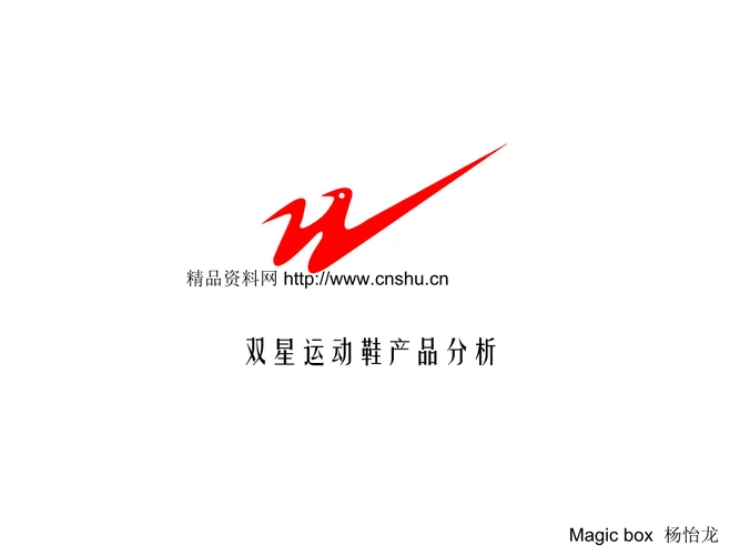 服装品牌-双星运动鞋产品分析解析(ppt62页).ppt