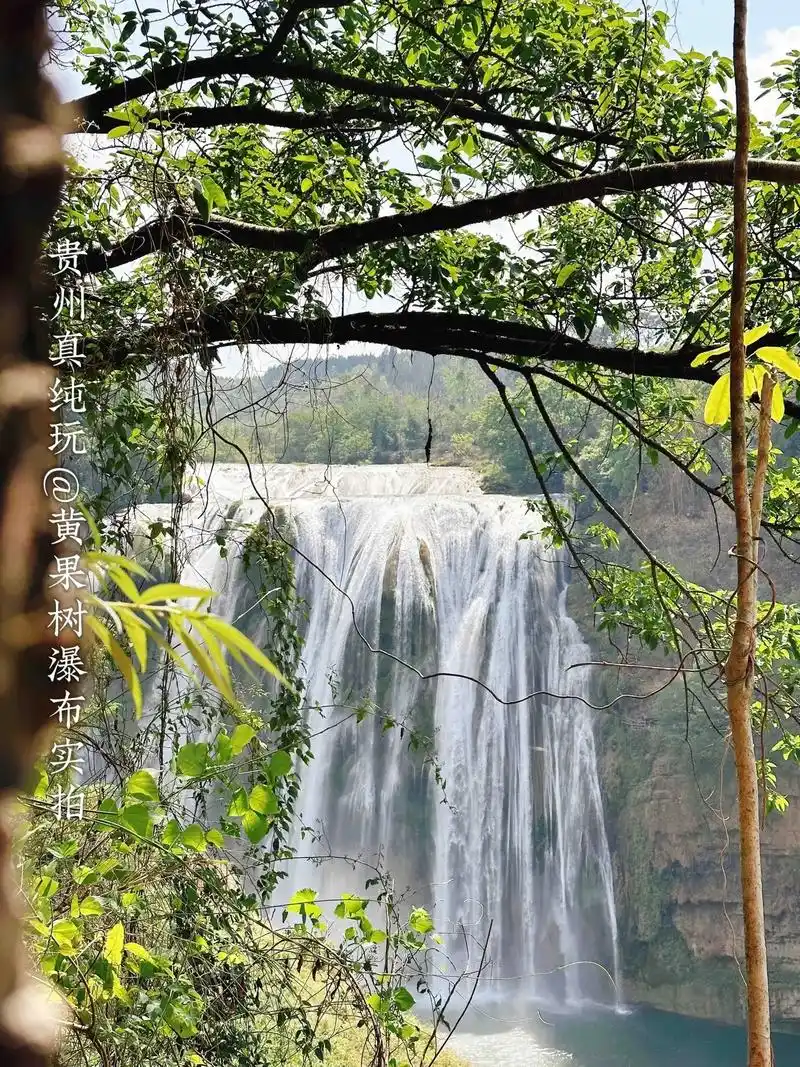 黄果树瀑布群.#贵州真纯玩黄果树瀑布风景实拍 99享有"中华 - 抖音