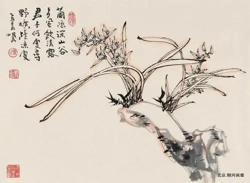 牡丹画家曹明冉