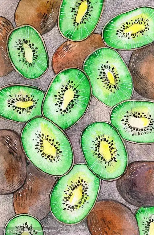 水彩画,水果猕猴桃