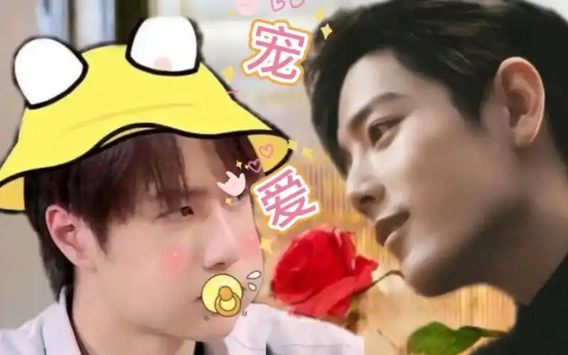 《宠爱》91 宠妻狂魔肖战vs小傻子王一博 战山为王 生子 双洁