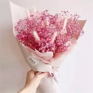 一生好运的抖音头像(精选10张)