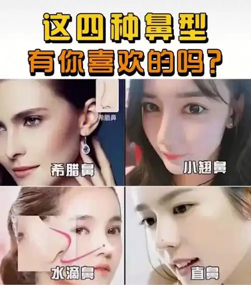 公认最好看的4种鼻子你最喜欢那一种