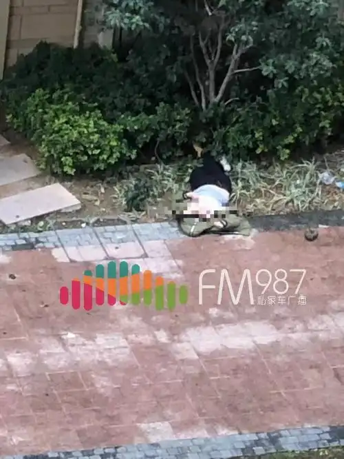 午饭,忽然听到一声闷响,而后看到一名年轻女子倒在29号楼楼下的草丛上