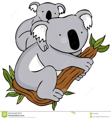 photos of animated koala bear