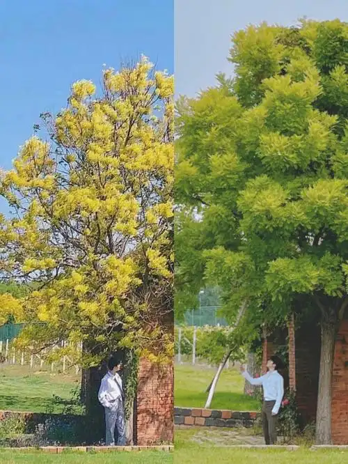 好久不见,我的小队长#马嘉祺