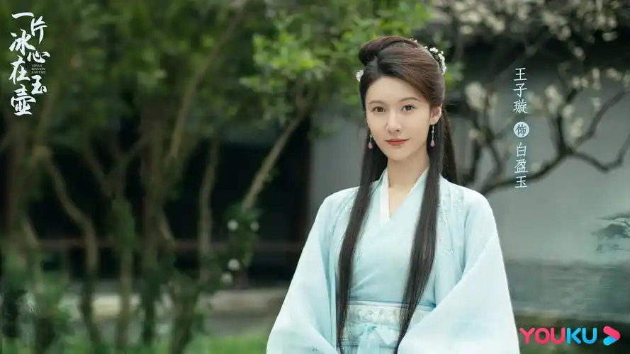 一片冰心在玉壶