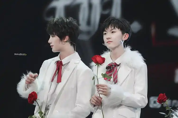 马嘉祺丁程鑫 马丁祺鑫 图源水印 侵删 - 堆糖,美图壁纸兴趣社区