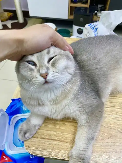 妈,头发扎的有点紧.