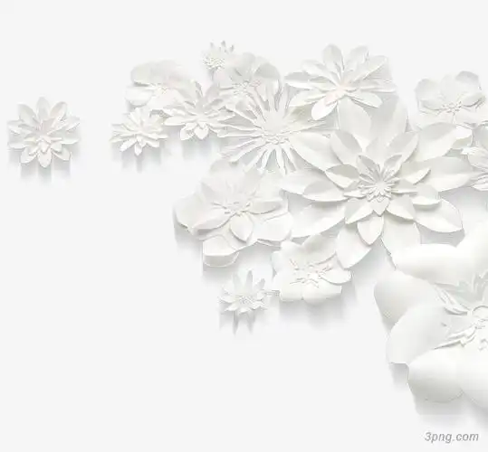 白色装饰花朵png素材透明免抠图片-装饰效果