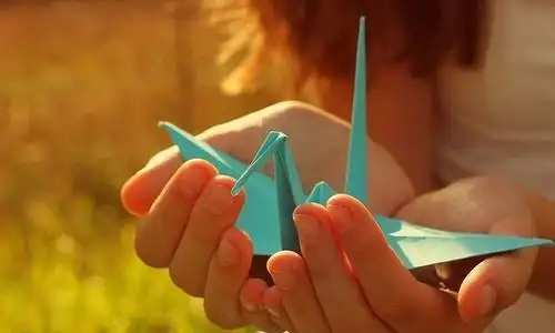 千纸鹤的含义千纸鹤的祝福语