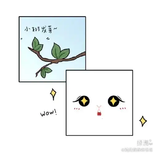 是一只会和你分享春天的小兔子7815#肖战#绿洲